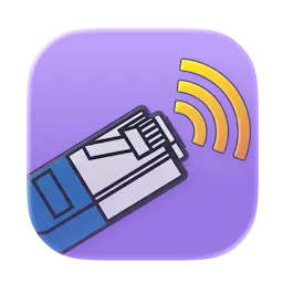 Network Connection Information logo