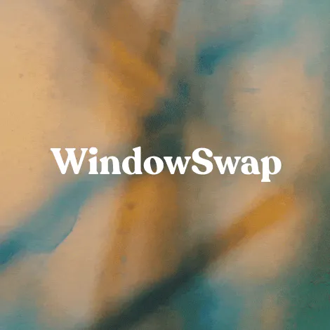 Window Swap logo