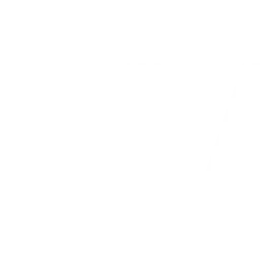 Verfi logo